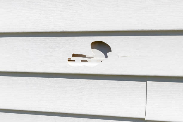 Trusted Warner, OK Siding Installation & Repair Experts